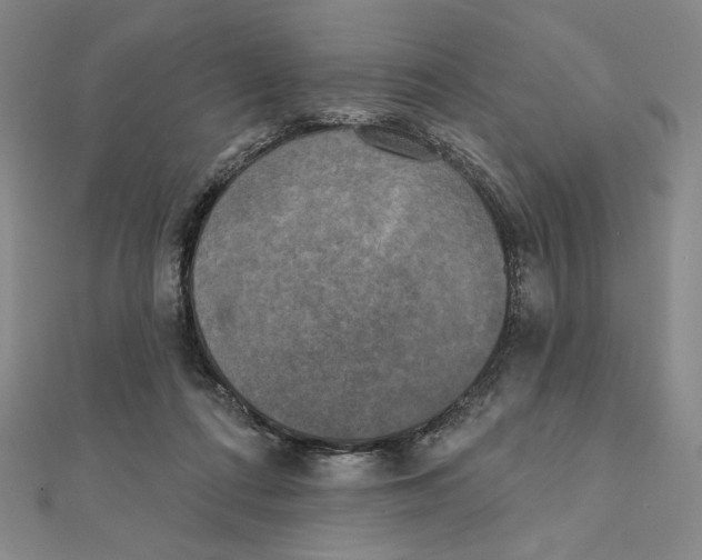 X0000111480312200908111207