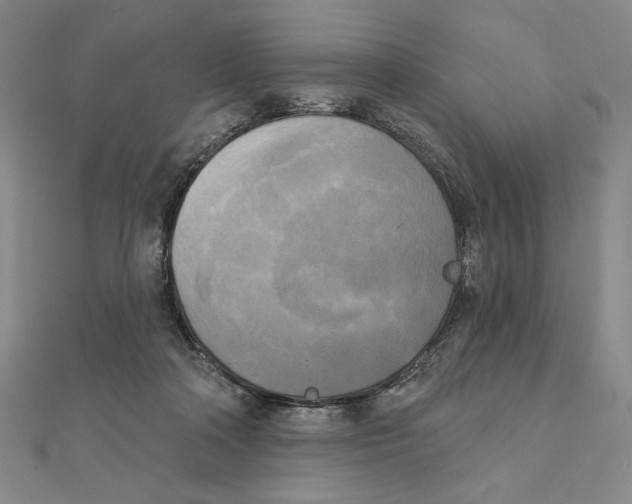 X0000111480314200908111207