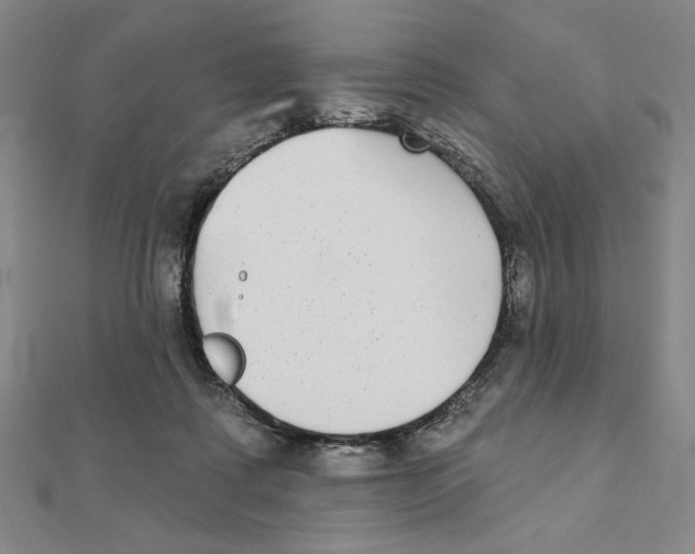 X0000111480315200908111207