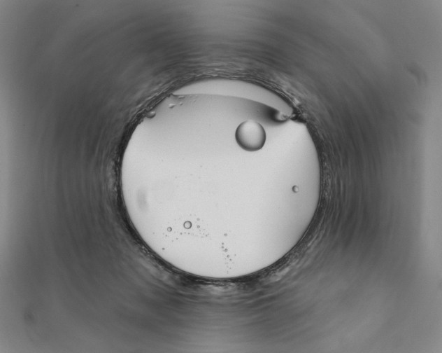 X0000111480317200908111207