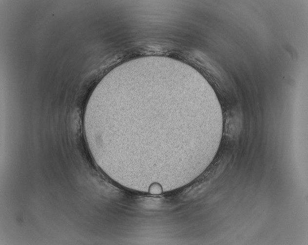 X0000111480318200908111207
