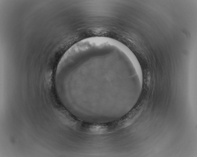 X0000111480319200908111207