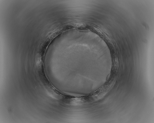 X0000111480320200908111207