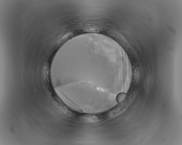 X0000111480322200908111207
