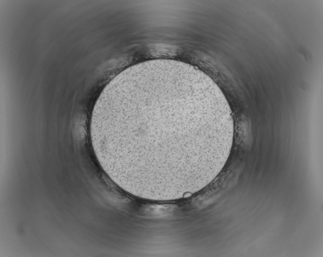 X0000111480323200908111207