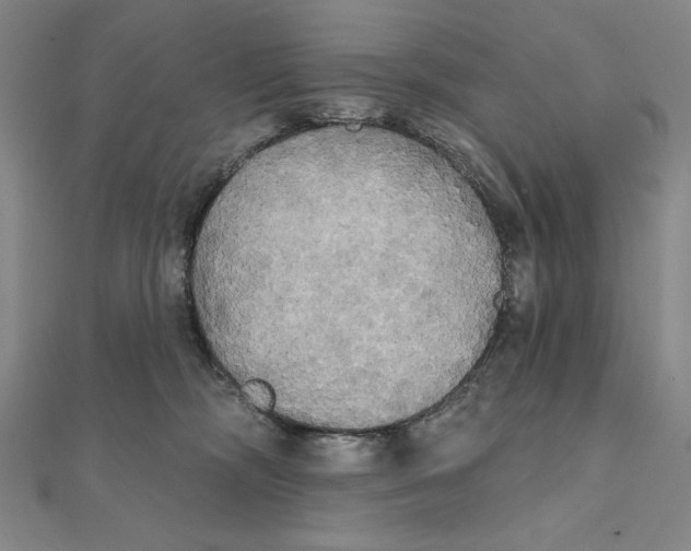 X0000111480326200908111207