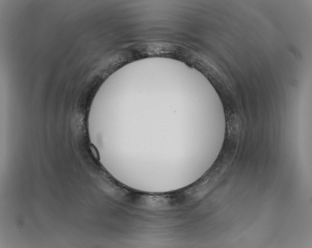 X0000111480327200908111207