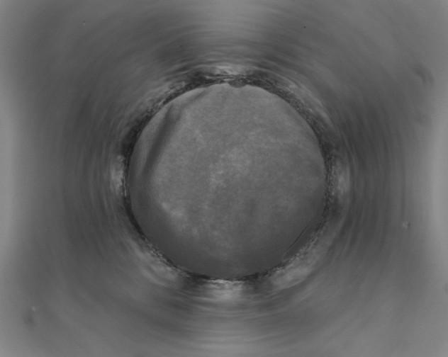X0000111480328200908111207