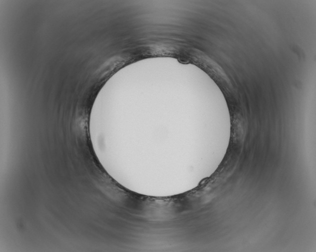 X0000111480329200908111207