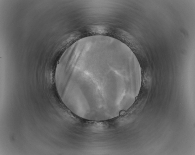X0000111480330200908111207