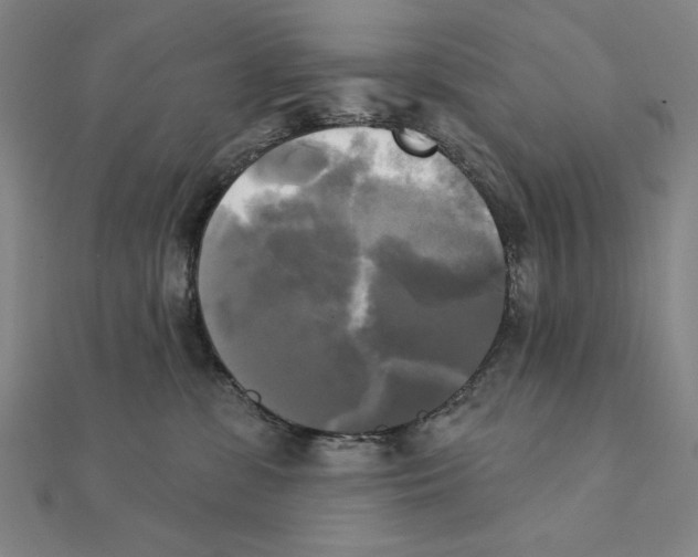 X0000111480331200908111207
