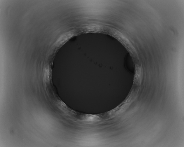 X0000111480333200908111207