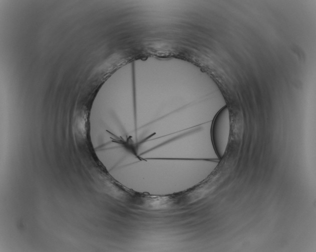 X0000111480334200908111207