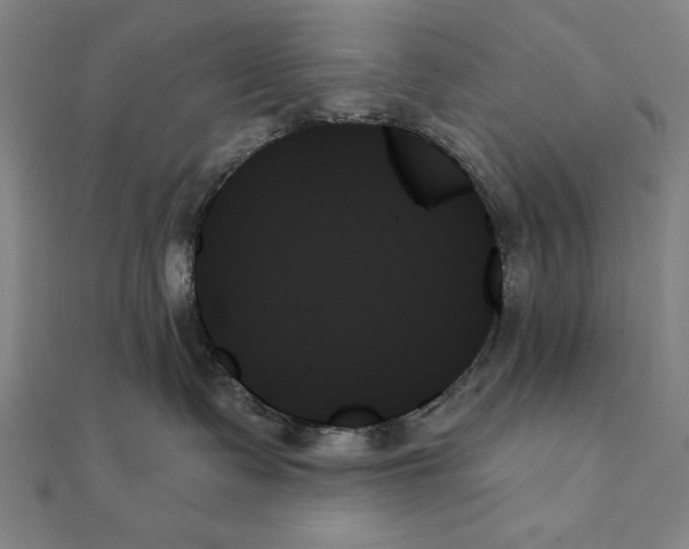 X0000111480335200908111207