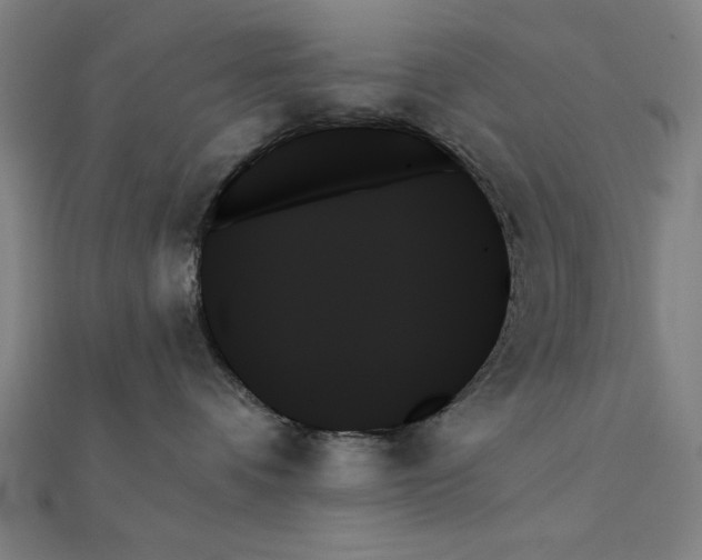 X0000111480336200908111207