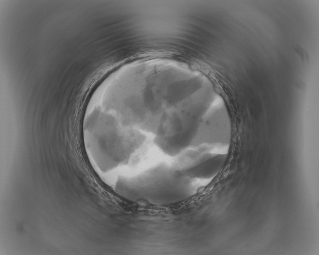 X0000111480337200908111206