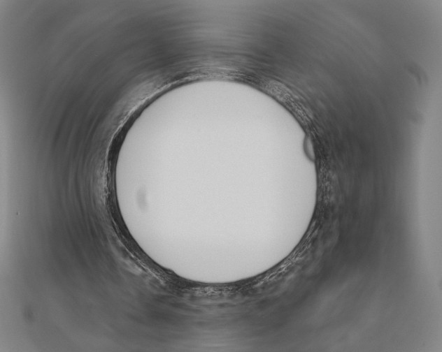 X0000111480338200908111206