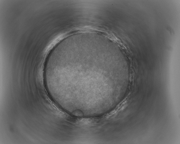 X0000111480341200908111206