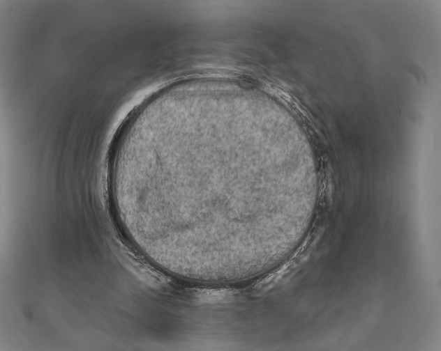 X0000111480342200908111206
