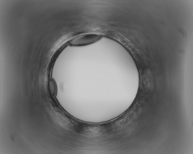 X0000111480344200908111206