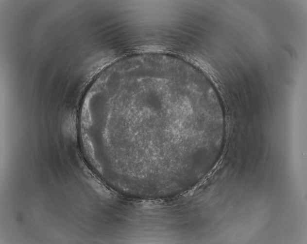 X0000111480345200908111206