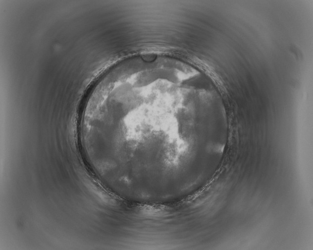X0000111480346200908111206