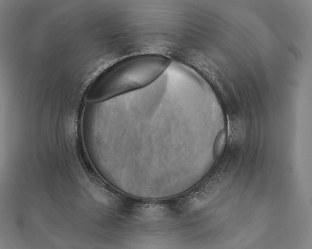 X0000111480348200908111206