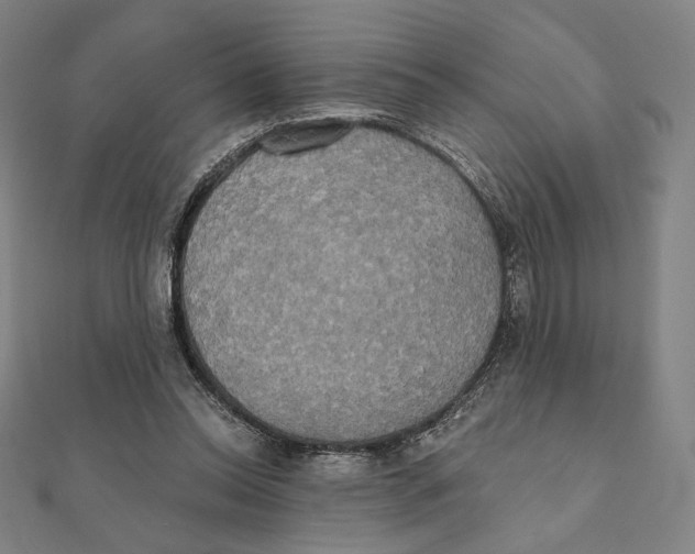 X0000111480350200908111206