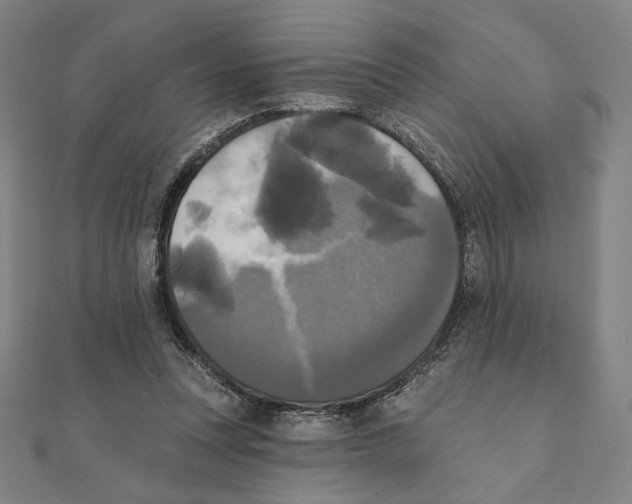 X0000111480351200908111206