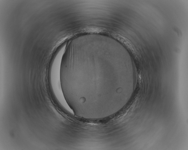 X0000111480352200908111206