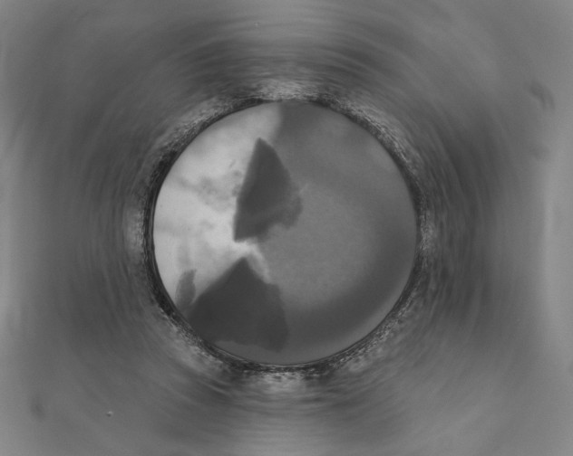 X0000111480353200908111206