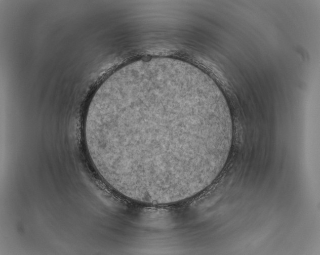 X0000111480354200908111206