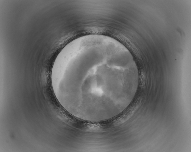 X0000111480355200908111206