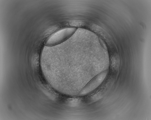 X0000111480356200908111206