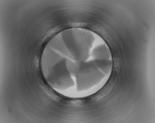 X0000111480357200908111206