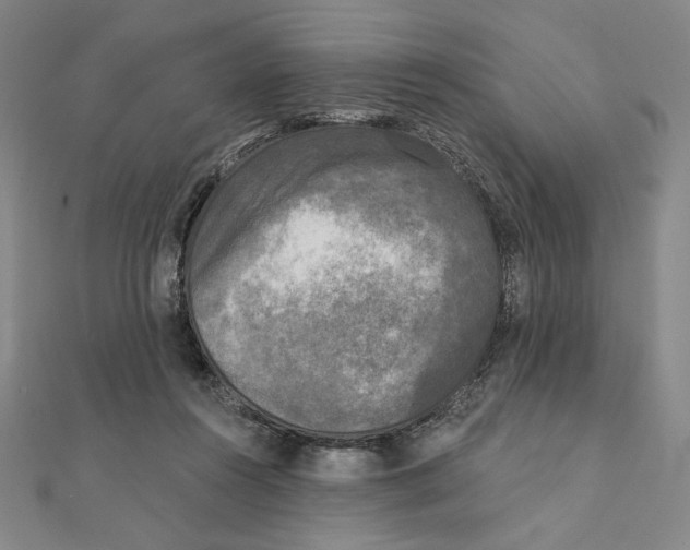 X0000111480360200908111206