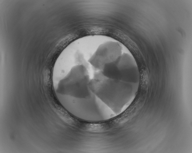 X0000111480361200908111206
