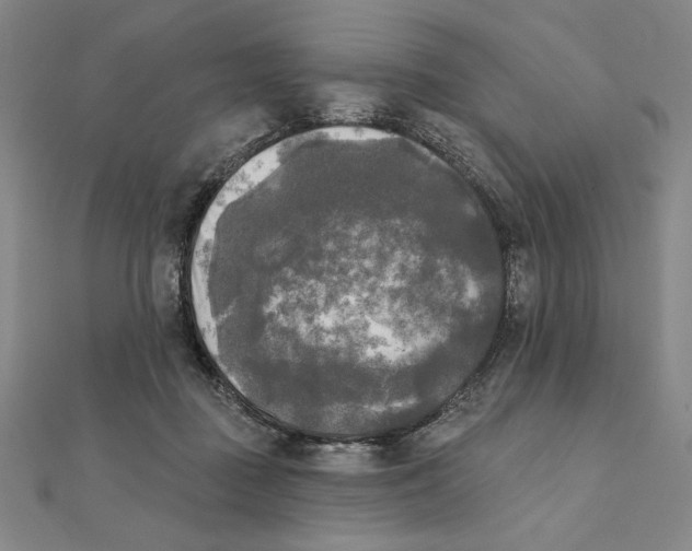 X0000111480363200908111207
