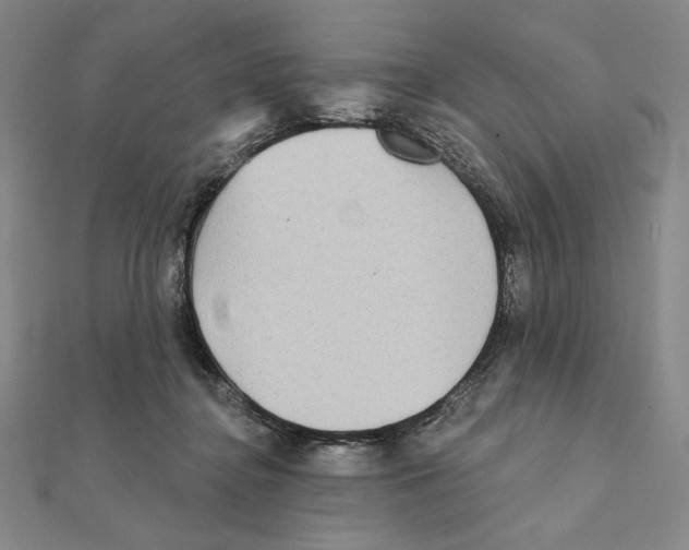 X0000111480364200908111207