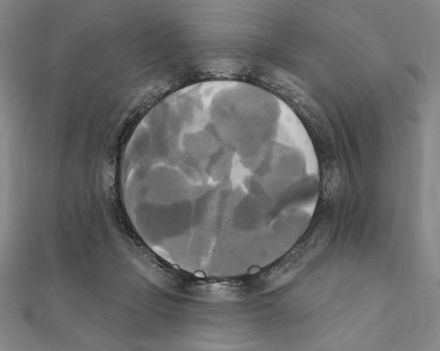 X0000111480365200908111207