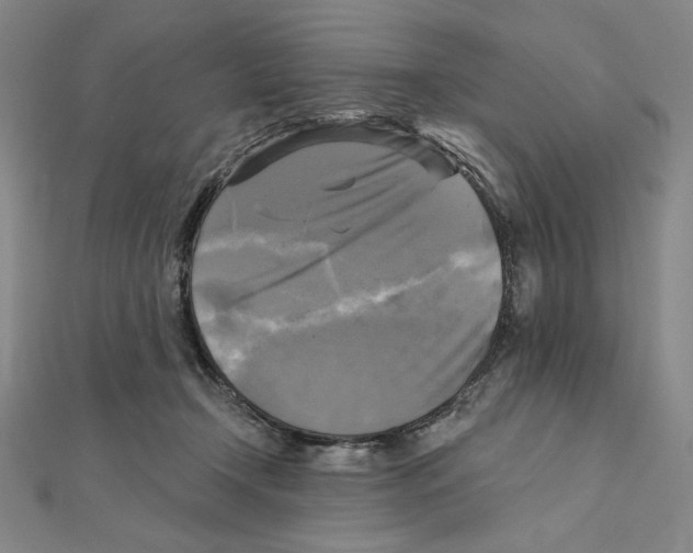 X0000111480366200908111207