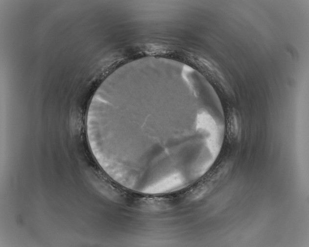 X0000111480367200908111207