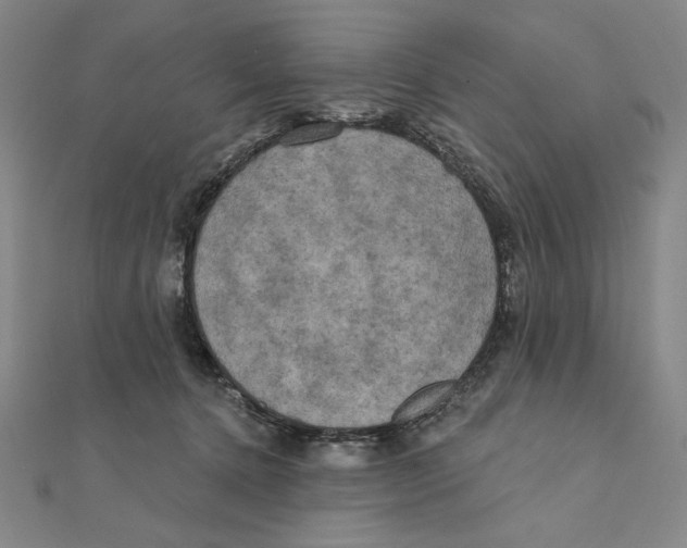 X0000111480368200908111207