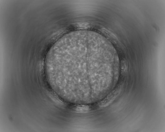 X0000111480369200908111207