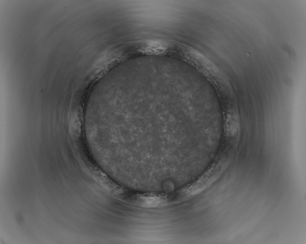 X0000111480370200908111207