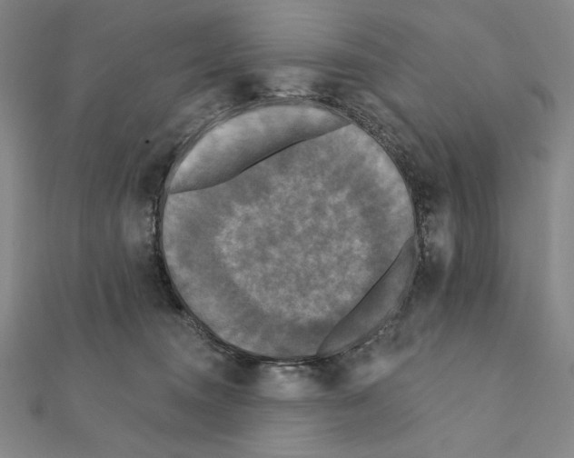 X0000111480372200908111207