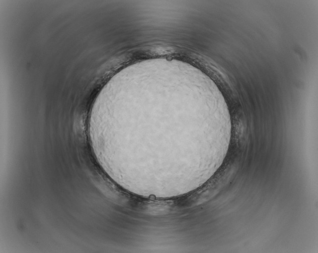 X0000111480373200908111207