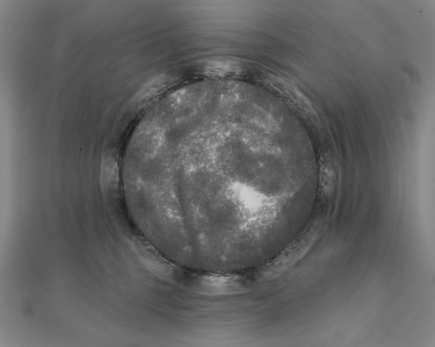 X0000111480375200908111207