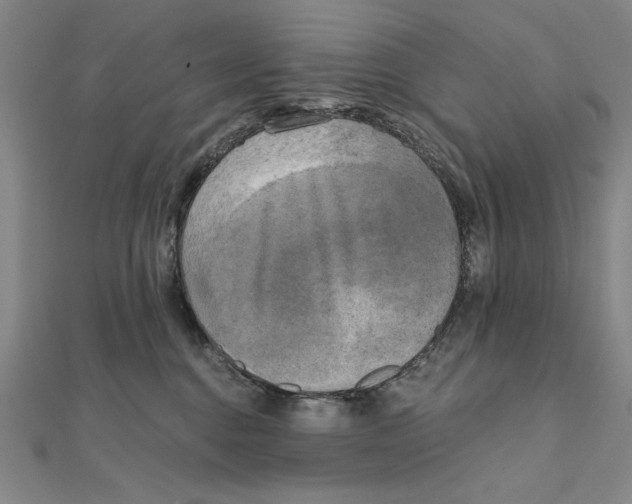 X0000111480376200908111207