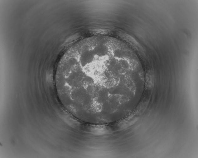 X0000111480377200908111207